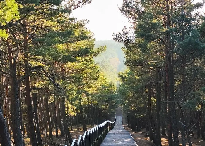 Ruchome Piaski Смолдзиньски-Ляс